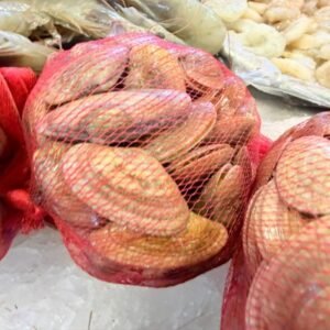 شبكه جندوفلي