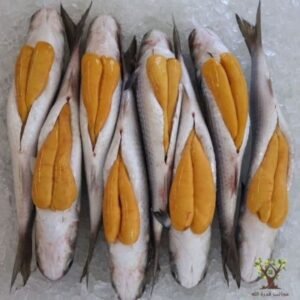 بطارخ بورى